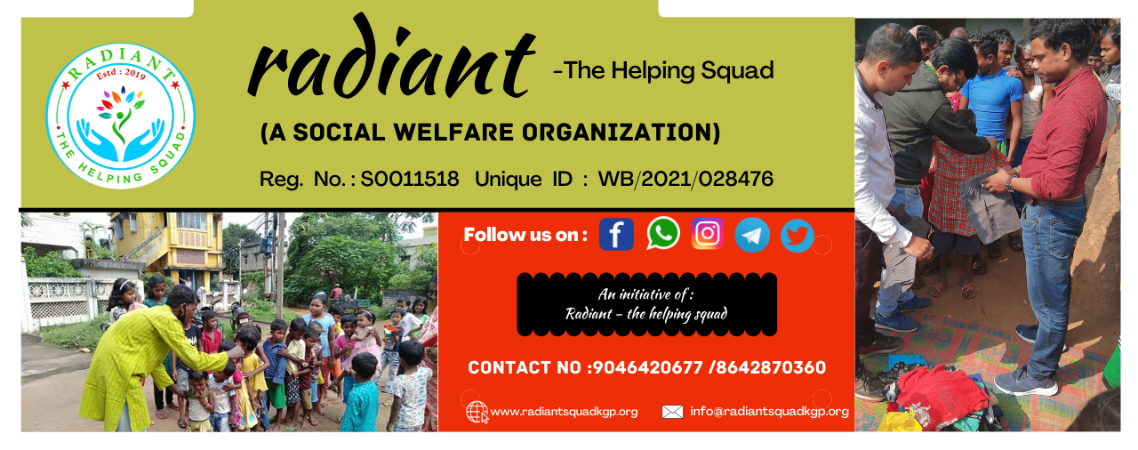 Descriptive text about the image